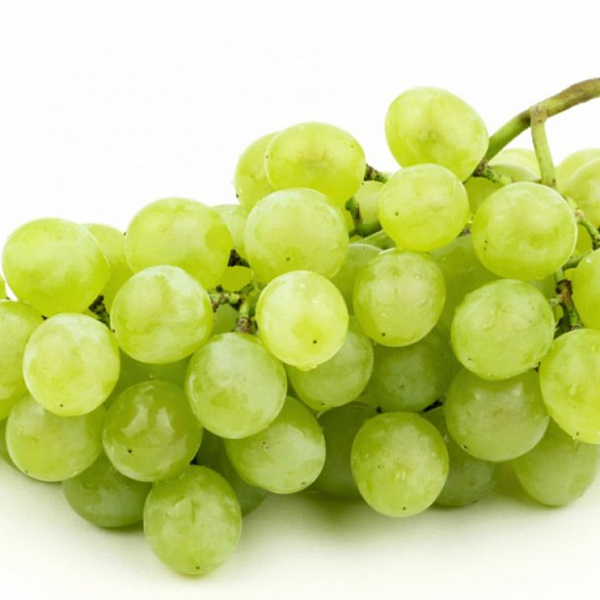 Виноград свежий вес. Зеленый (ОСП Пермское)